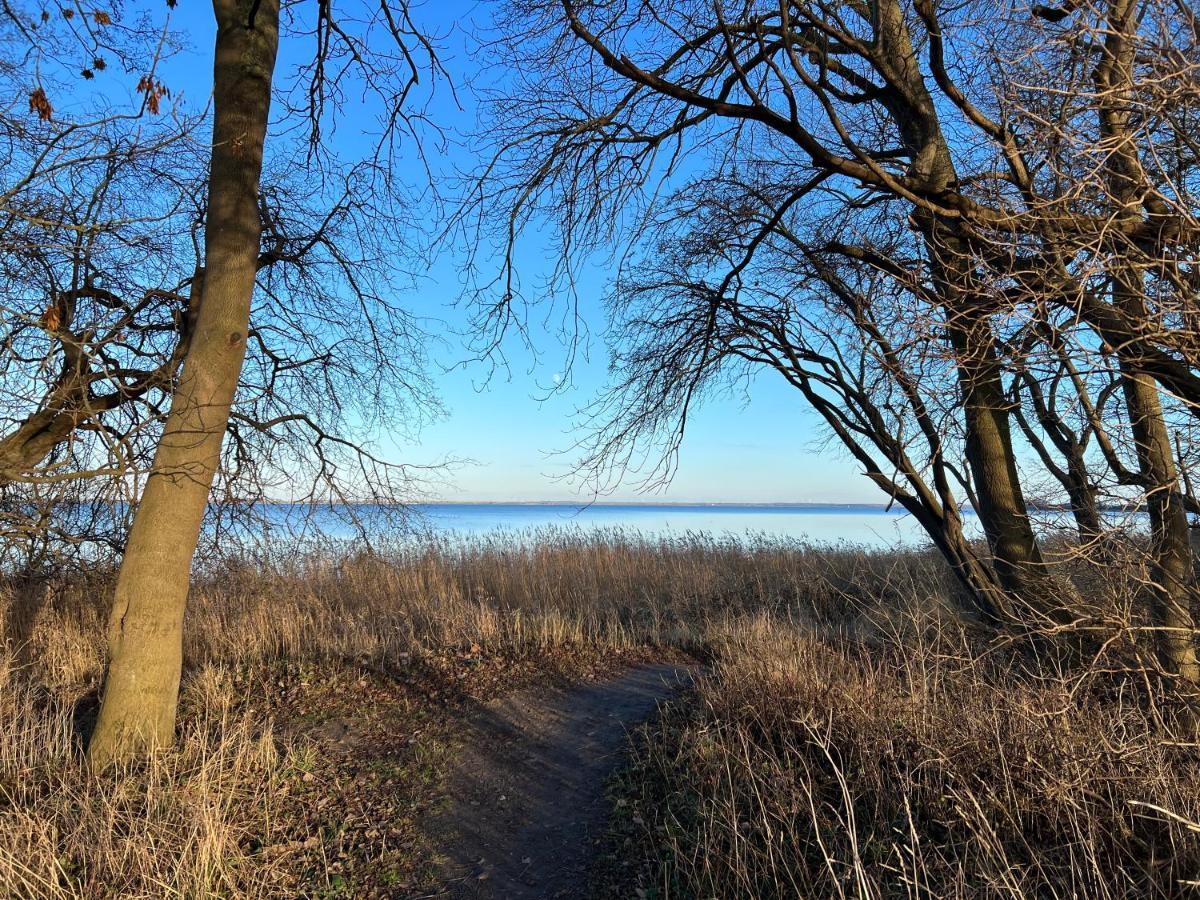 Reet Und Meer Beckerwitz Hohenkirchen  外观 照片