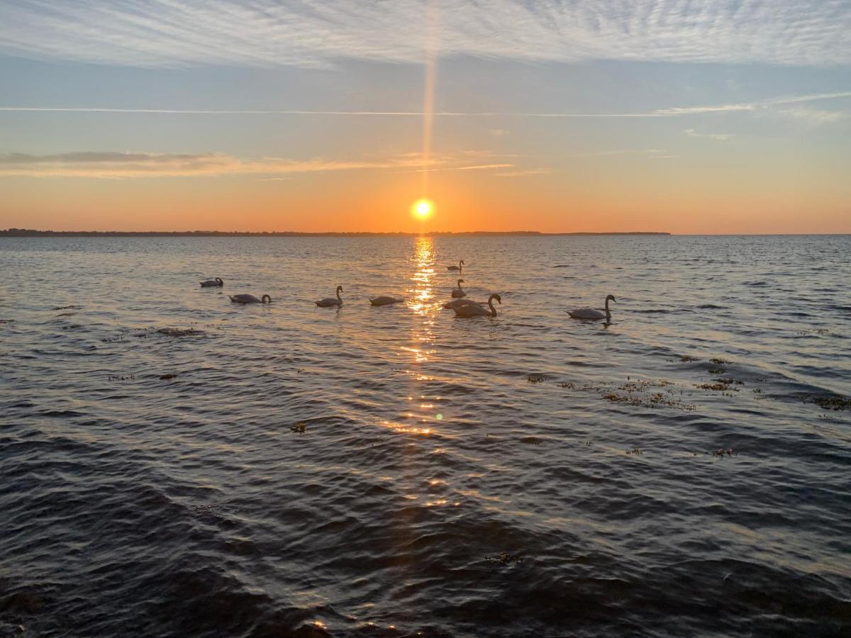 Reet Und Meer Beckerwitz Hohenkirchen  外观 照片