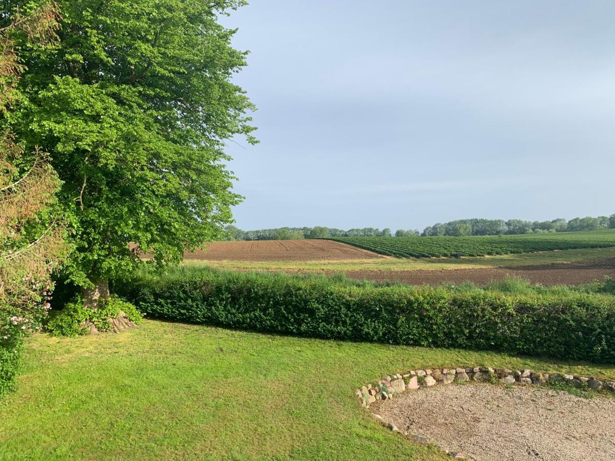 Reet Und Meer Beckerwitz Hohenkirchen  外观 照片